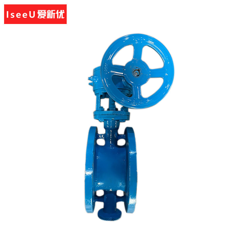爱新优 蜗杆蜗轮法兰式蝶阀 D343H-16C DN300(个)