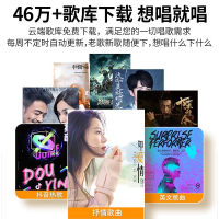奔腾 (BNTN) 家庭影院K歌系统有源重低音炮客厅电视5.1别墅音响套装家用KTV音响影K功放配纽约旗舰点歌机套装