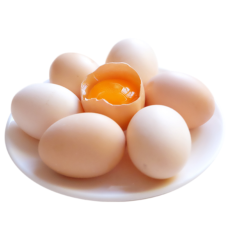 林地散养土鸡蛋20枚鲜鸡蛋山鸡蛋柴鸡蛋草鸡蛋鲜蛋