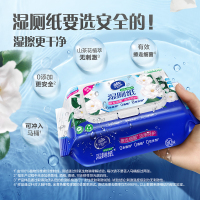 维达山茶花精华湿厕纸80片6包共480片 大包母婴可用厕所家用卫生擦屁股私处可冲马桶湿巾纸厕纸