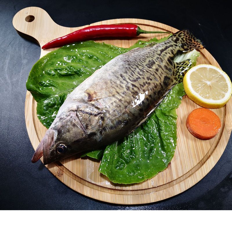 赛卡伊鲜活生态桂花鱼现杀多规格洈水生态生鳜鱼臭鳜鱼新鲜季花鱼桂苗