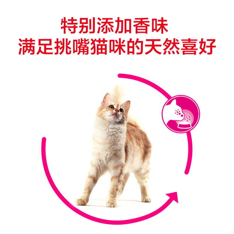 ROYAL CANIN 皇家猫粮 EA33全能优选成猫猫粮 全价粮-香味型 2kg 独特鱼类香味 维持理想体重