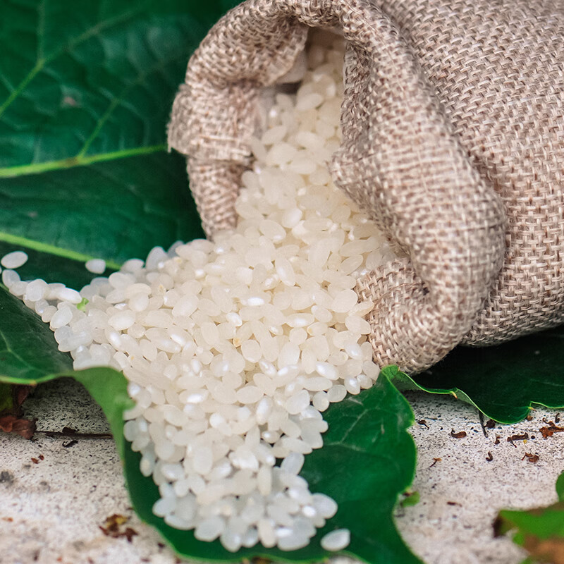 苏垦1号(一年一季稻)5KG袋装高清大图