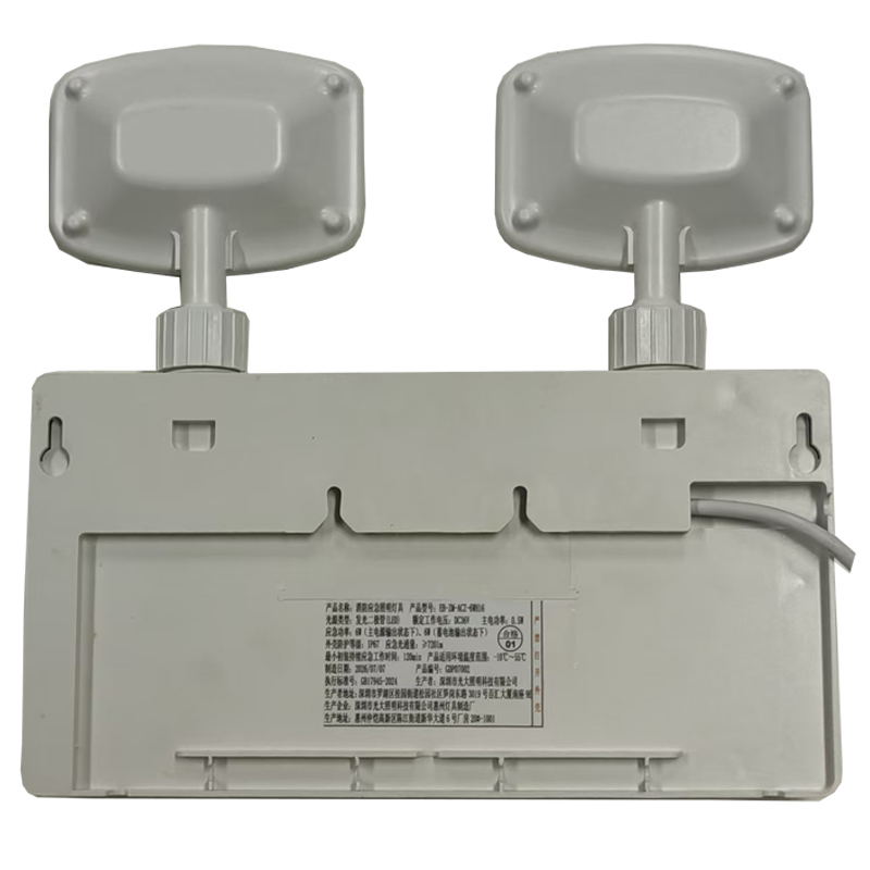 光大特照 EB-ZM-ACZ-6WH16 DC36V 6W IP67 120min LED 消防应急照明灯具 盏 银色高清大图