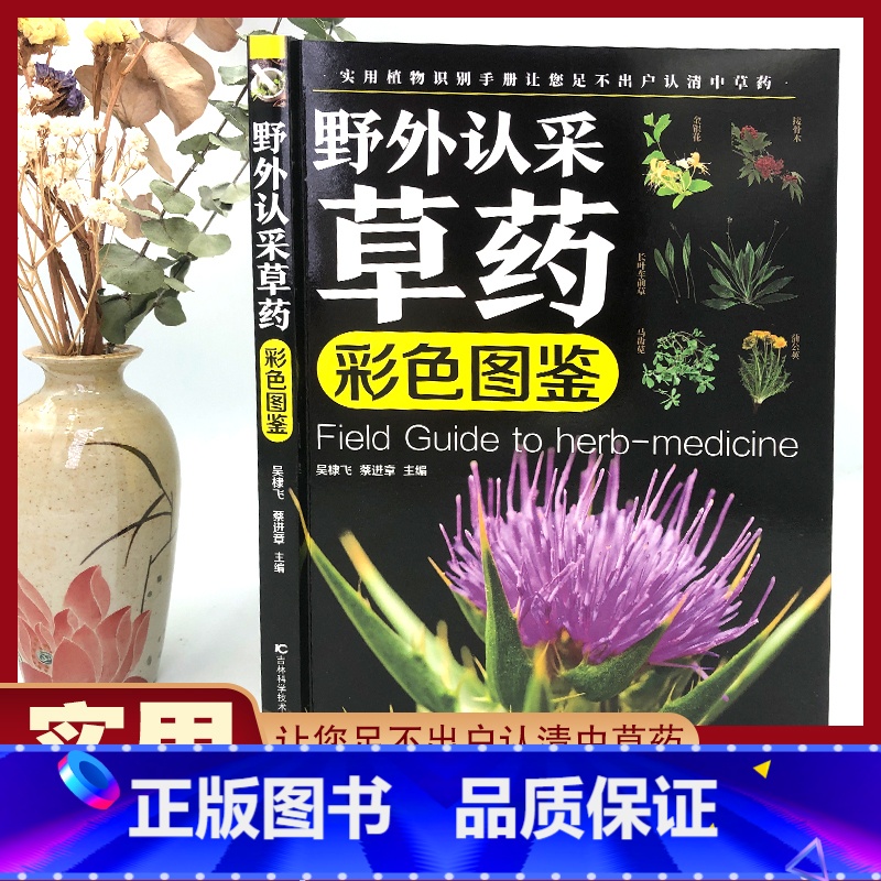 【正版】野外认采草药彩色图鉴图解中华汉方快速认药彩图全套中草药学野外识别应用彩色图鉴中草药彩图大全图解版草药材识别入门
