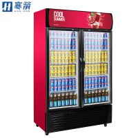 寒箭 展示柜冷藏商用冷柜饮料柜商用冰箱大小超市冰箱啤酒柜冷藏柜立式水果保鲜柜双门直冷下机组