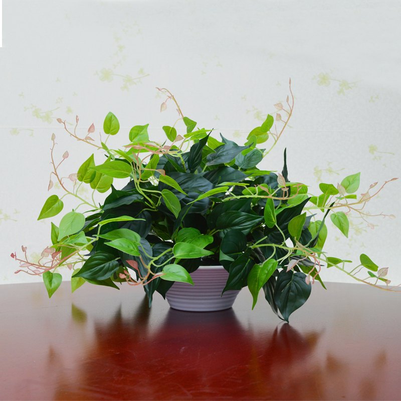 绿萝盆栽假植物室内外装饰小盆栽田园花假绿萝摆设绿萝叶大盆