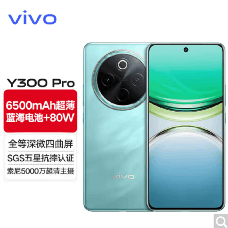 vivo Y300 Pro 金镶玉 12GB+256GB 骁龙6 5G芯 6500mAh电池 80W充电 5000万高清影像 5G 手机图片