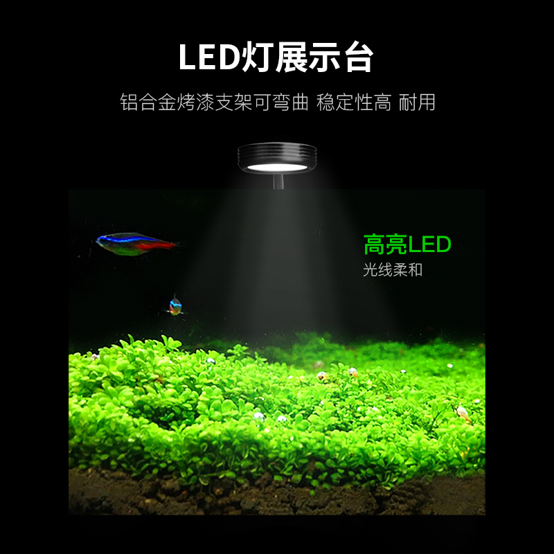 小水鱼缸 小型全套 水族箱造景小缸 桌面水缸含DIY素材水景高清大图