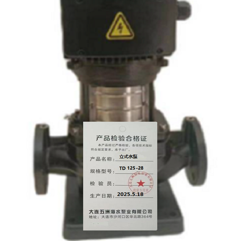 五洲泵业立式水泵TD125-28台高清大图