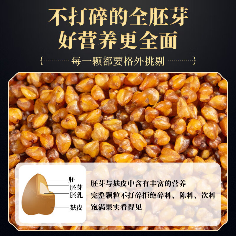 北京同仁堂黑苦荞茶四川凉山黑苦荞胚芽茶全颗粒泡水养生茶400g/罐