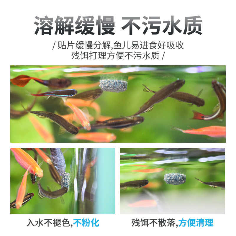 小型鱼贴片鱼食孔雀鱼饲料热带鱼红绿灯科凤尾斗鱼幼鱼苗粮食颗粒高清大图
