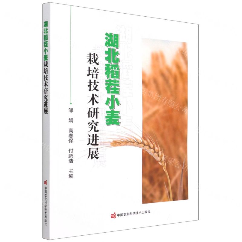 【N】湖北稻茬小麦栽培技术研究进展-9787511656179