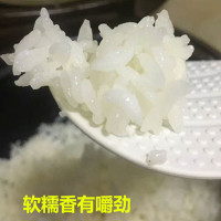 褚小二 五常稻花香大米5kg/10斤 东北大米 长粒粳米 非金龙鱼 粮油主食