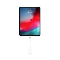 Apple 转接线 USB-C 转 SD 卡读卡器 MUFG2CH/A