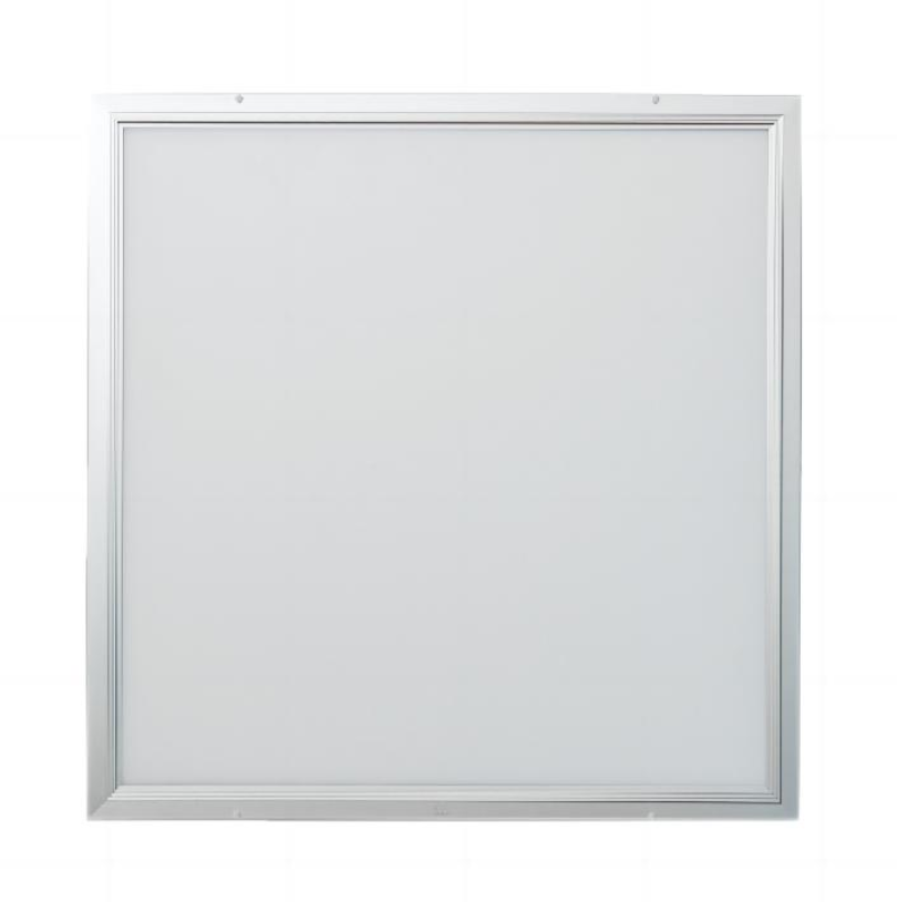 晫安联 ZX009C AC220/DC220V 40W IP54 5000K LED 应急面板灯 (计价单位:盏) 白色