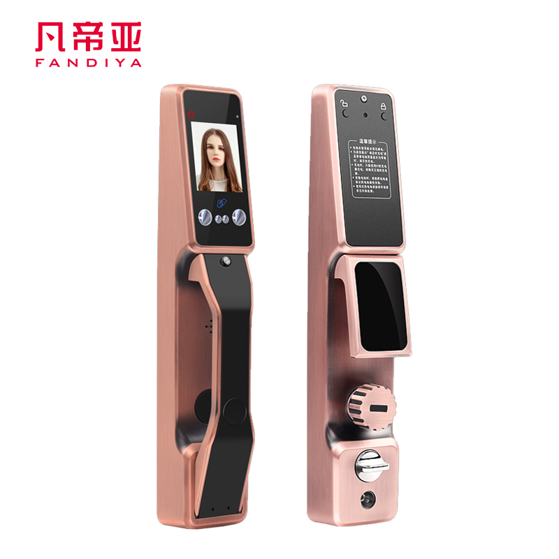 凡帝亚智能门锁FDY-RLSB06人脸识别静掌纹识别电子锁