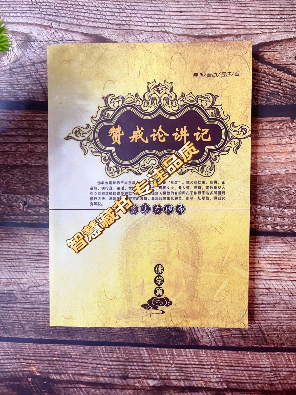 [黄皮书系列]赞戒论讲记 索师 16开 283页高清大图