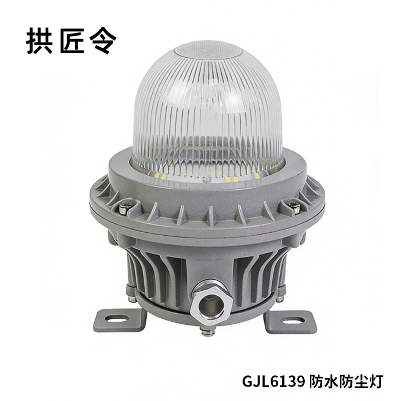 拱匠令 GJL6139 防水防尘灯 20W 220V IP68(计价单位:个)灰色
