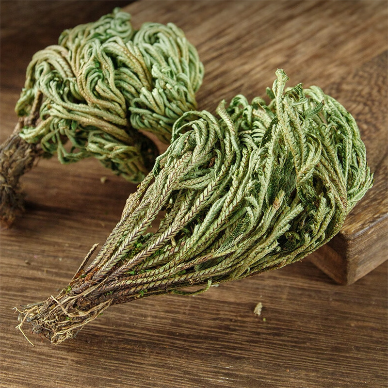 甄选卷柏100克柏岩柏草九死还魂草小叶石柏阳草一把抓9260高清大图