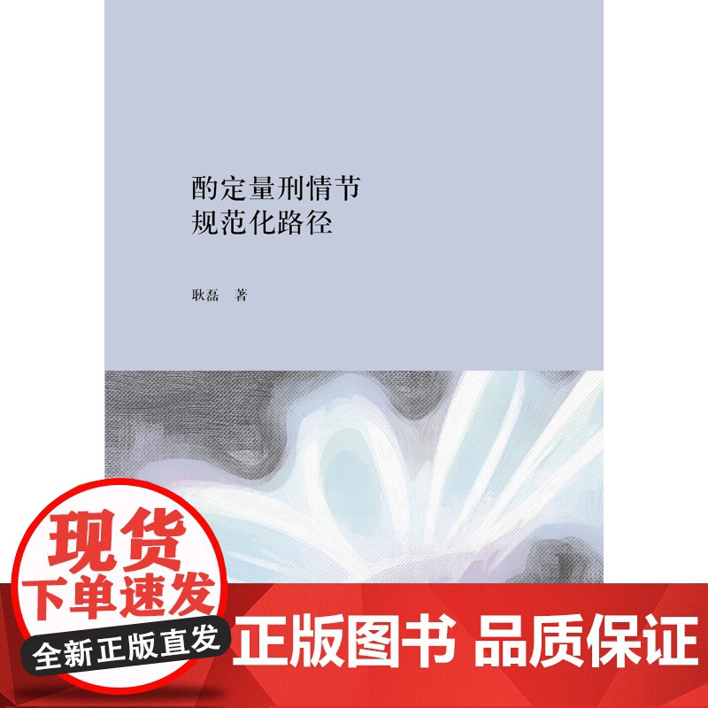 W正版 酌定量刑情节的规范化路径 耿磊 9787519704827 酌定量刑情节适用指导意见高清大图