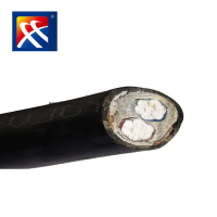 希飞牌 YJLV22-0.6/1KV-2*10mm²铝芯铠装电缆 元/米 定制商品 联系客服
