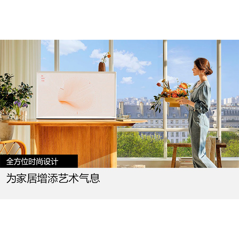 三星(SAMSUNG)55LS01DB 55英寸 画境艺术电视 哑光屏显 QLED量子点 QA55LS01DBJXXZ