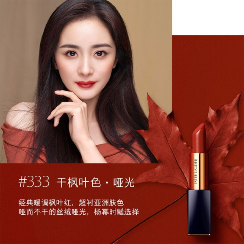 [顺丰]雅诗兰黛 ESTĒE LAUDER 绝色倾慕口红唇膏 3.4g#333 干枫叶色 持久保湿不掉色 情人节礼物