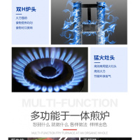 手抓饼机器燃气铁板烧铁板纳丽雅(Naliya)商用摆摊煤气扒炉炸炉一体机烤冷面设备 55油扒组合+九宫格+盖子