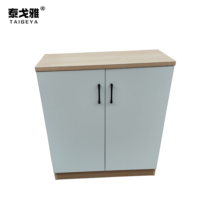 泰戈雅 鞋柜 TGY-020 个