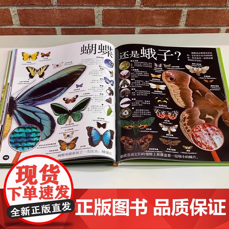 全套DK儿童动物百科全书大百科全套恐龙邢立达鸟类蛇濒危两栖爬行博物蜘蛛昆虫世界野生动物绘本图鉴科普类小学生二三四年级课外高清大图