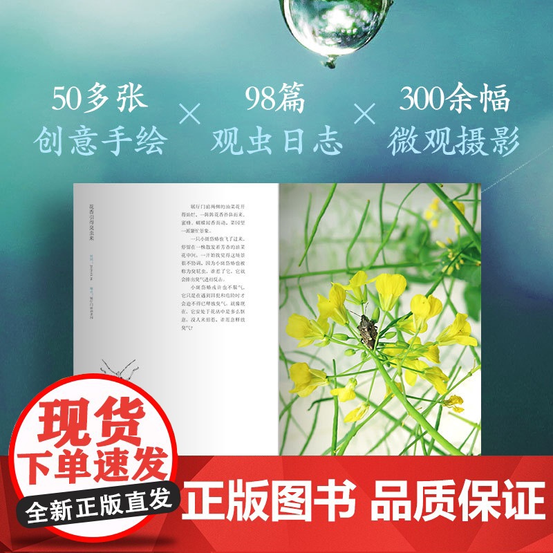 虫子间(成人版)“世界蕞美的书”“中国好书”得主朱赢椿新高清大图