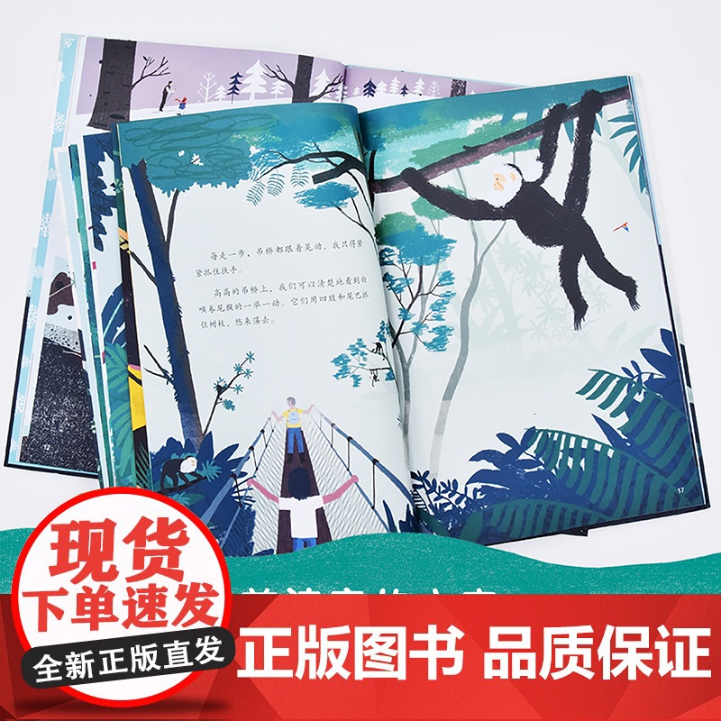 雨林里,枝叶间(让孩子从雨林的勃勃生机中汲取向上的生命力量)高清大图