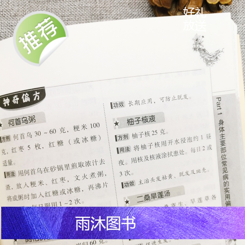 神奇偏方治病一本全 中医书籍大全入门 中药书处方配方 药方选录中医常用方剂 民间家庭偏方秘方大全中医养生配方书籍高清大图