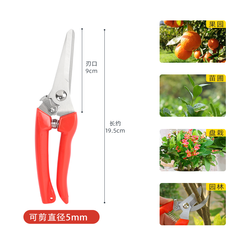 不锈钢树枝修枝剪采摘水果花木剪园林果树花卉枝嫁接园艺剪刀工具 404红色1把装
