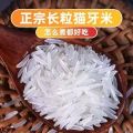 【一级猫牙米】2025年新鲜长粒香米正宗长粒农家大米煲仔饭蛋炒饭专用