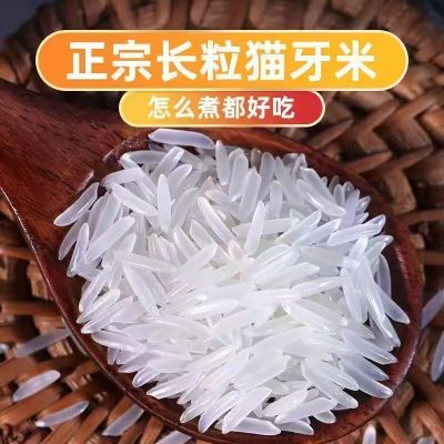 【一级猫牙米】2025年新鲜长粒香米正宗长粒农家大米煲仔饭蛋炒饭专用