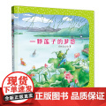 一颗莲子的梦想