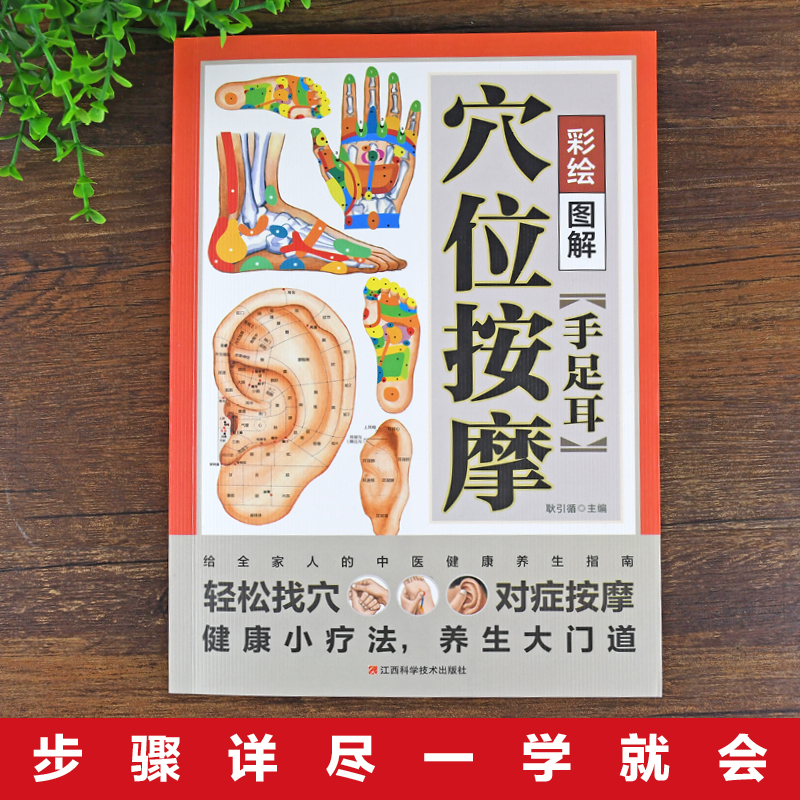 [正版]彩绘图解手足耳穴位按摩书籍 轻松找穴对症按摩 经络穴位按摩大全书籍 人体穴位经络图 中医穴位书籍中医推拿按摩畅高清大图
