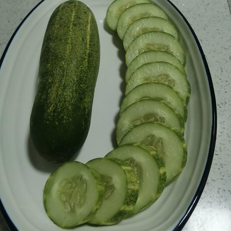 赛卡伊 海南新鲜土黄瓜新鲜大青黄瓜老式黄瓜吊瓜青瓜无刺老黄瓜旱