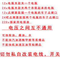 闪电客抽油泵柴油12V24伏220电动通用12水泵抽油神器加油抢油抽子机器 12v泵点烟器(5米线)