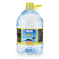 椰树牌火山岩天然矿泉水饮用水泡茶水生活会议活动用水(多规格可选) 火山岩5L*2桶/箱