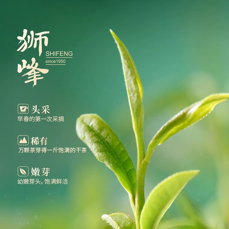 2025新茶上市狮峰牌龙井茶江南赋头鲜明前特级纸包200g头采正宗绿茶春茶高清大图