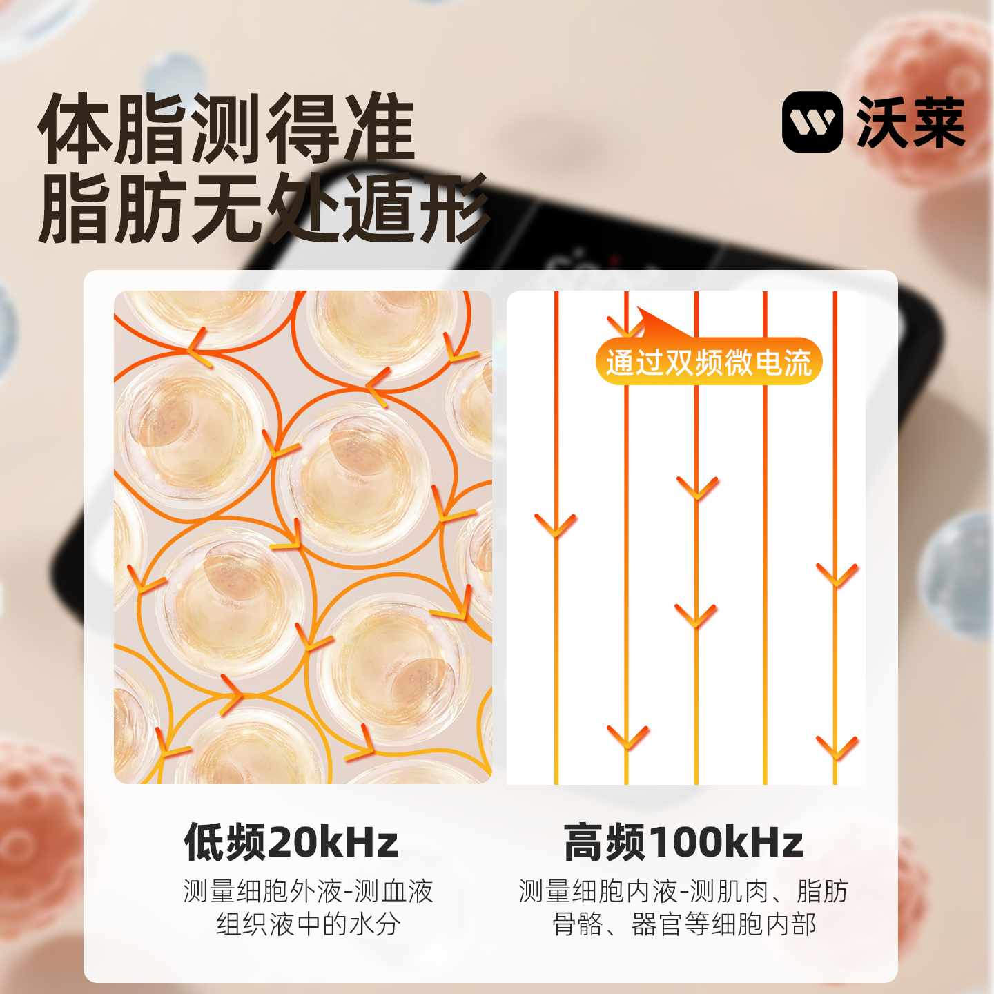 沃莱智能彩屏体脂秤S5电池款黑色高清大图