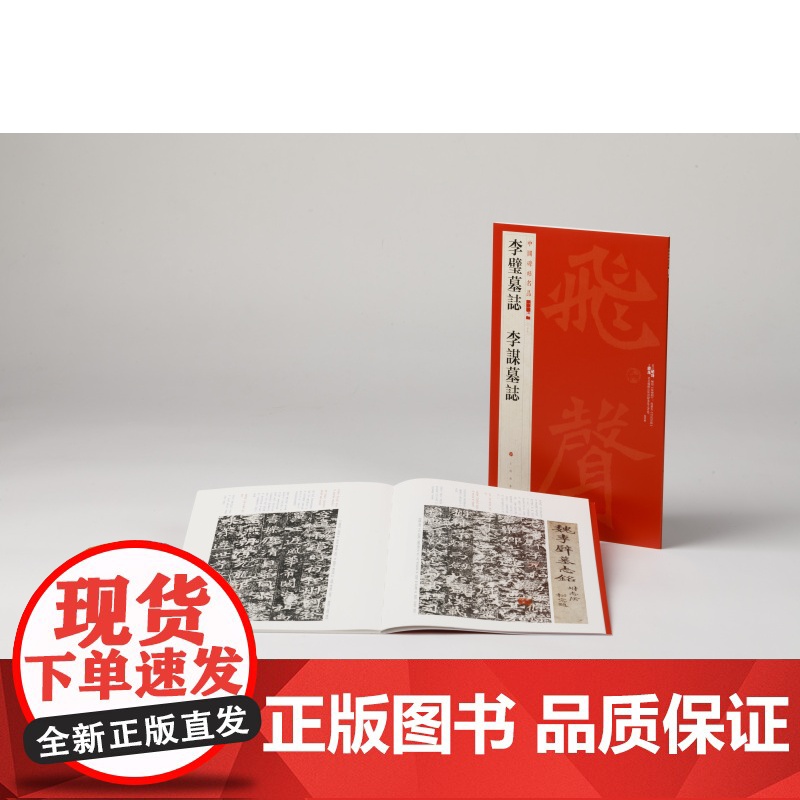 中国碑帖名品二编 李璧墓志 李谋墓志 书法篆刻 艺术文化 上海书画出版社高清大图
