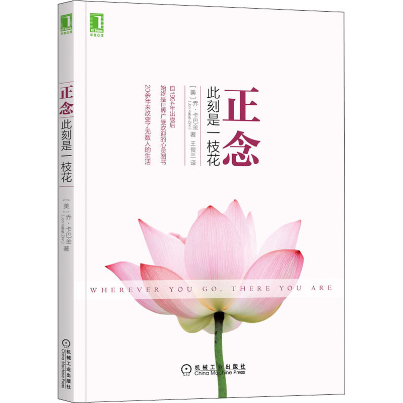 醉染图书正念 此刻是一枝花9787111499220高清大图
