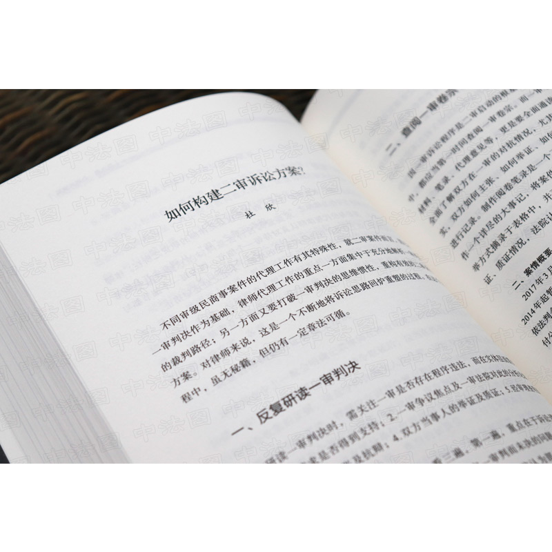 [正版] 天同办案手记 中国法制 法律检索 案件评估 证据运用 庭前准备 出庭技巧 类案研究 文书写作 青年律师执业实高清大图
