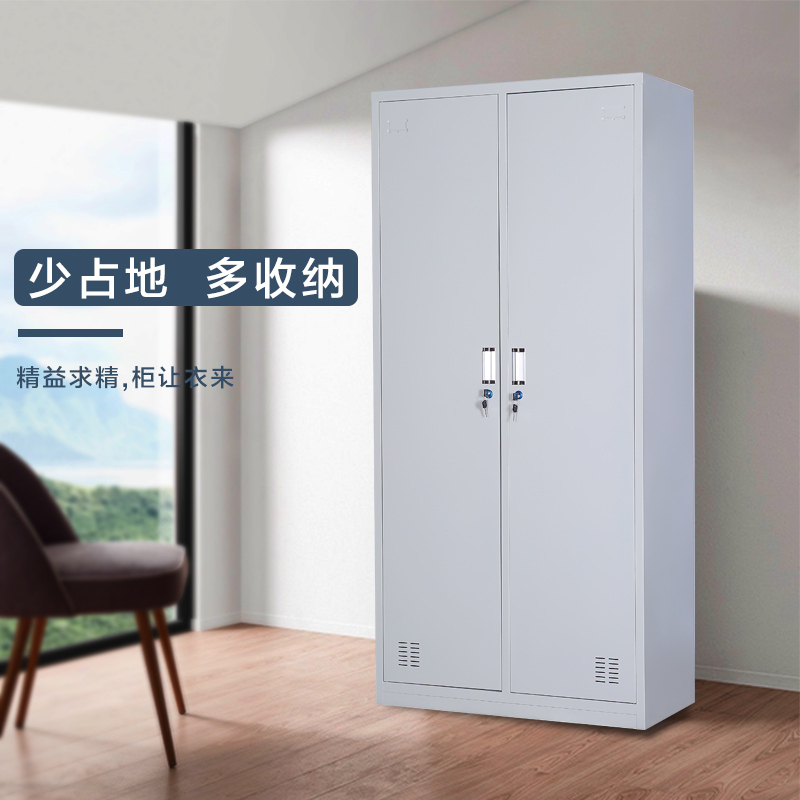 鑫环境 加厚二门更衣柜办公家具铁皮柜更衣柜储物柜浴室衣柜员工衣柜储物柜铁皮带锁储存柜健身房更衣柜室宿舍衣柜