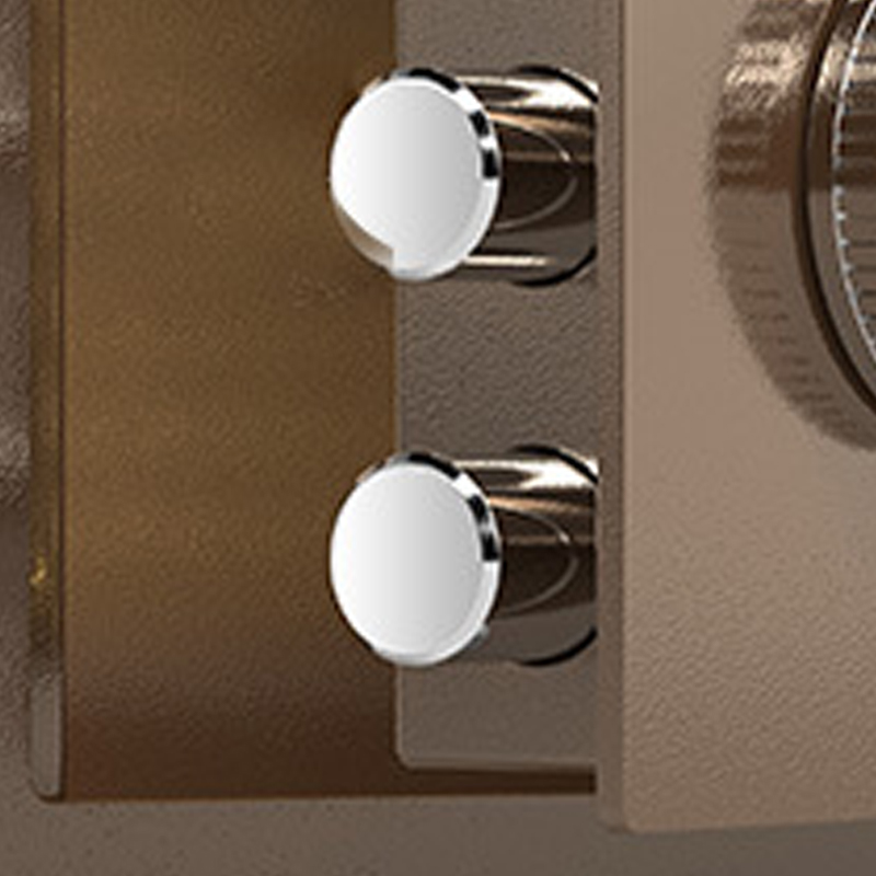 臻远 ZY40618092 小型保险柜密码保险箱全钢防盗保管箱 20cm咖色电子密码款高清大图