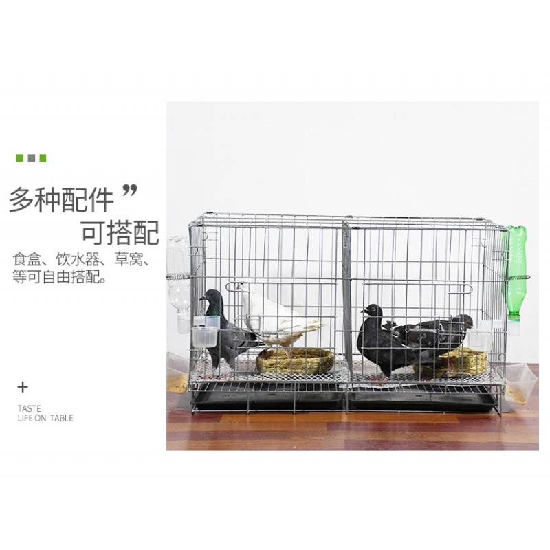 加粗鸽子笼子鸽子用品用具鸽子笼大号鸡笼家用鸽子养殖笼子